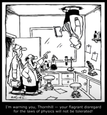 Wal Thornhill on gravity