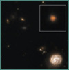 Capotauro (candidate galaxy at redshift ˜ 32) observed by the James Webb Space Telescope