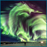 Auroral Dragon 2019